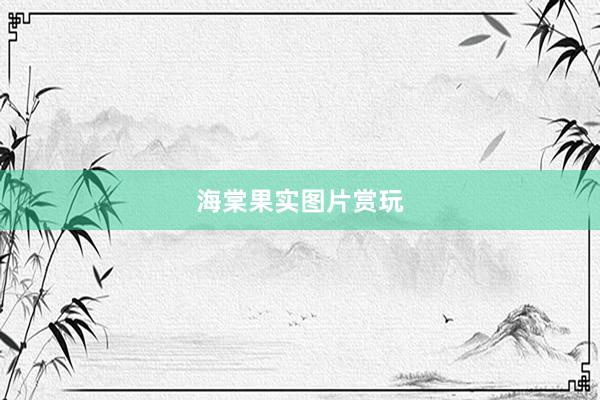 海棠果实图片赏玩